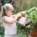 little dutch fairy garden konewka