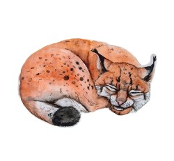 Płaska poduszeczka Lynx / BabySteps