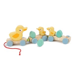 Drewniany pociąg kaczki/ Tender Leaf Toys