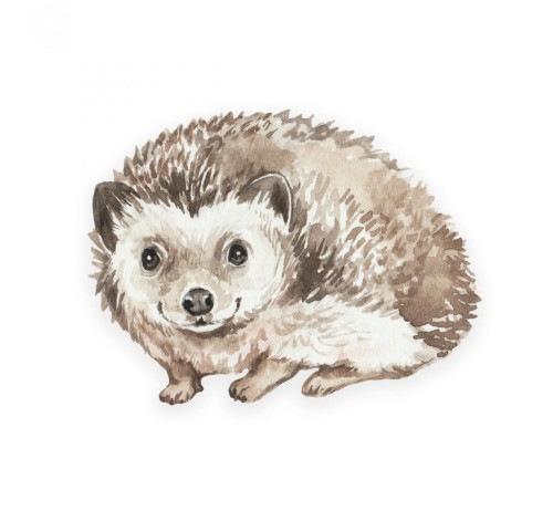 Płaska poduszeczka Hedgehog Jeż / BabySteps